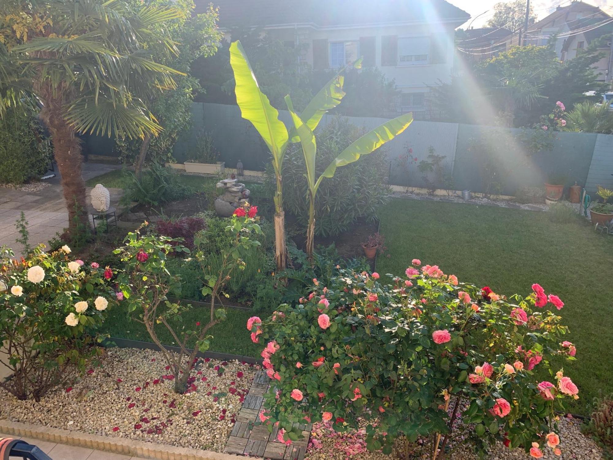 ארג'נטויל La Maison Parisienne & Jardin מראה חיצוני תמונה